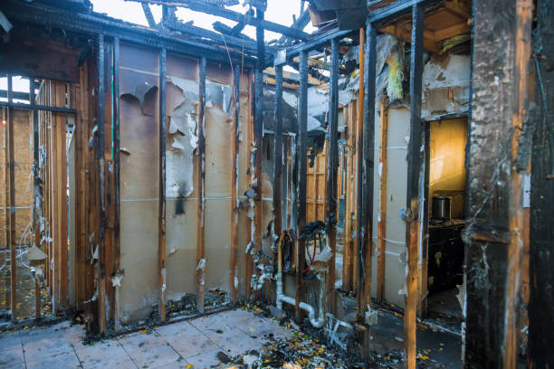 Professional Fire Damage Removal technician working in Mount Airy, MD